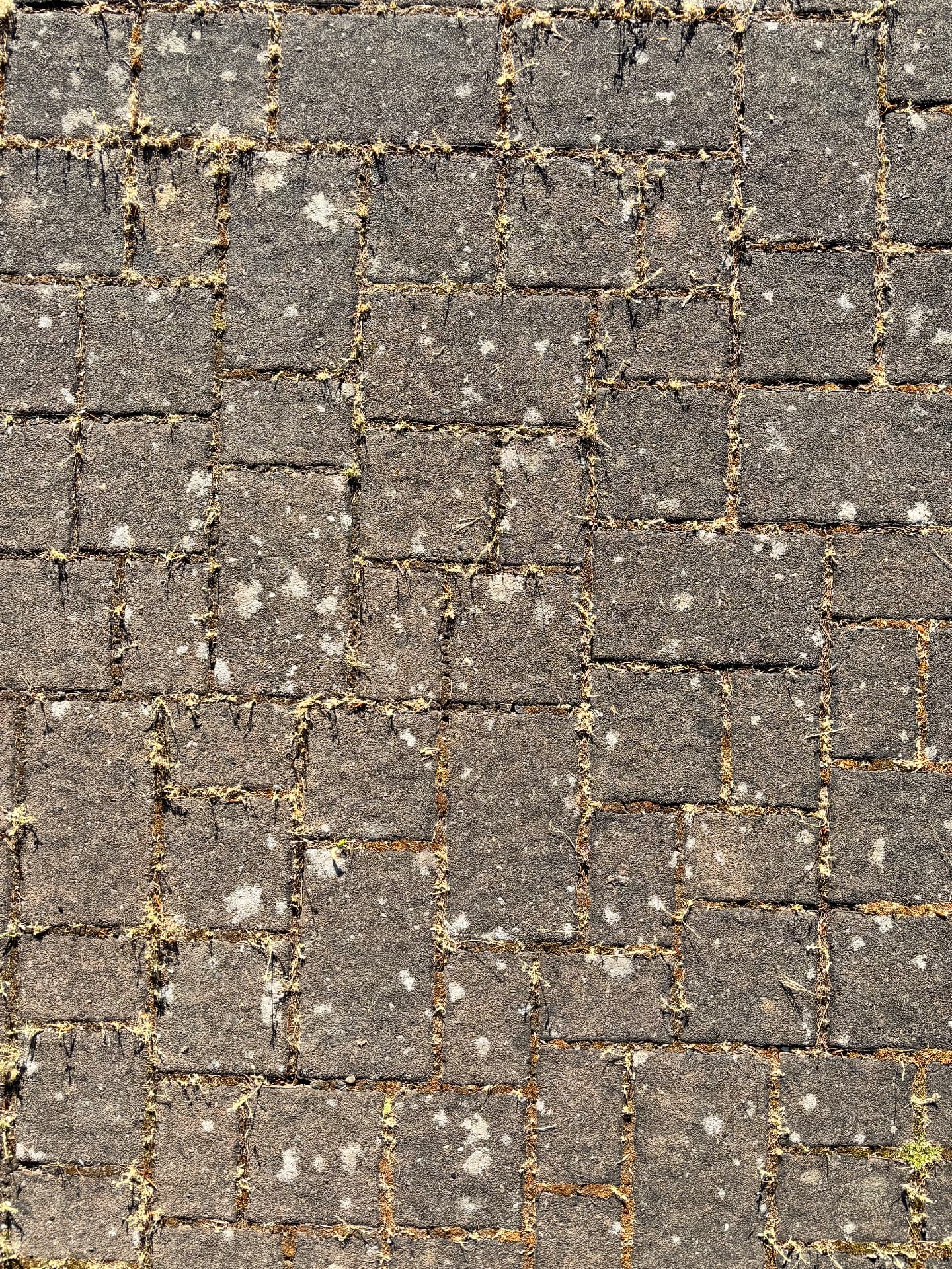 Vorher: Steinflächen