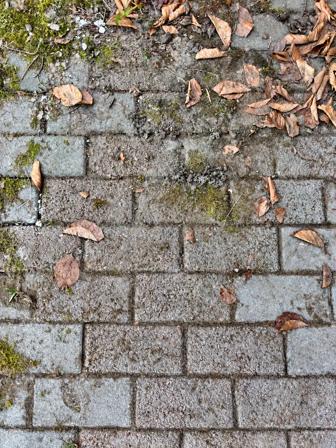 Vorher: Pflasterreinigung